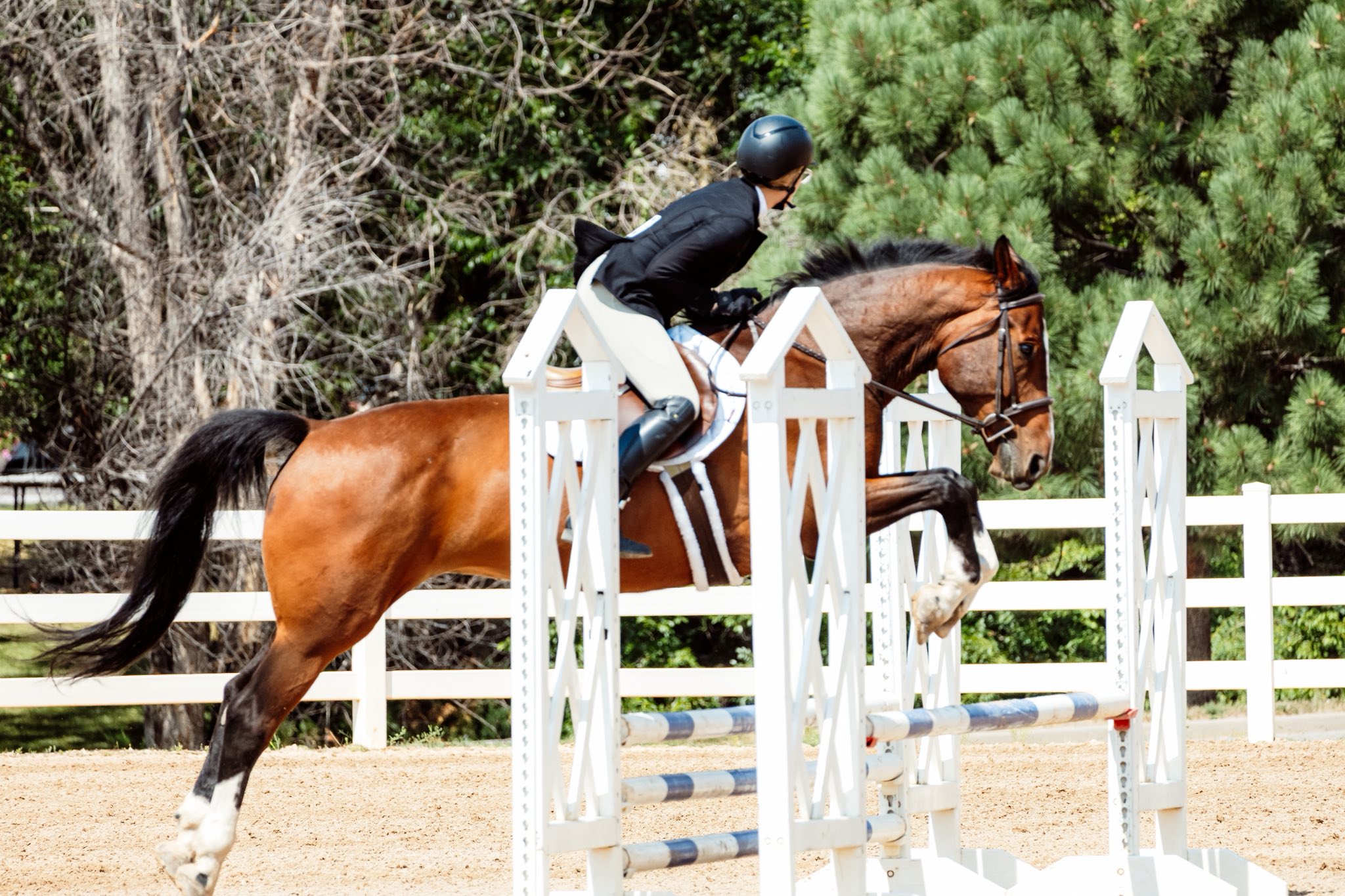 Riding lesson at White Blaze Equestrian