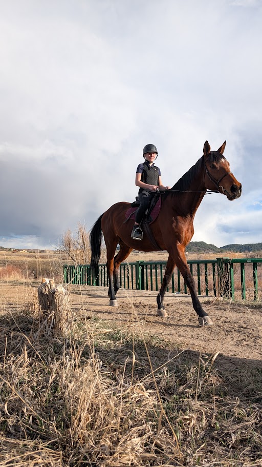 Kids learning to ride at pony camp